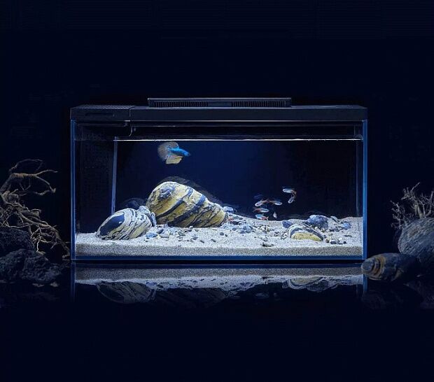 Умный аквариум с оформлением Petkit Origin Fish Cylinder with Landscaping Twiligh Jump Shadow Set 10 - 2