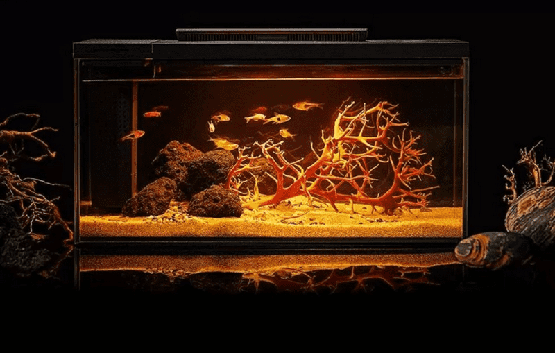 Внешний вид умного аквариума Petkit Origin Fish Cylinder with Landscaping Twiligh Jump Shadow Set 