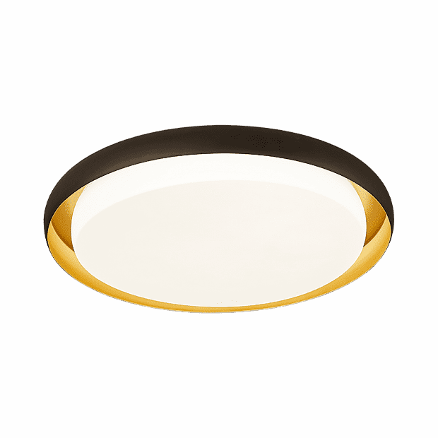 Потолочная лампа Huizuo Pisces Smart Ceiling Lamp 24W (Black/Черный) - 1